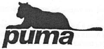 Imagen de PUMA