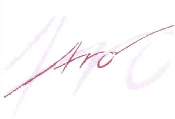Imagen de ARO