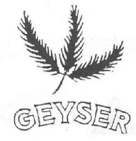 Imagen de GEYSER