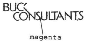 Imagen de BUCK CONSULTANTS