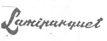 Imagen de LAMIPARQUET