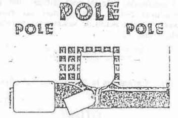 Imagen de POLE