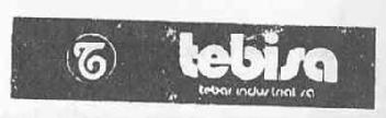 Imagen de T TEBISA