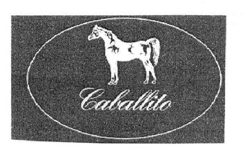 Imagen de CABALLITO