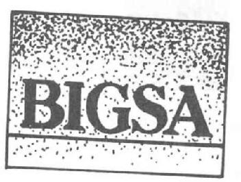 Imagen de BIGSA