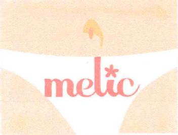 Imagen de MELIC