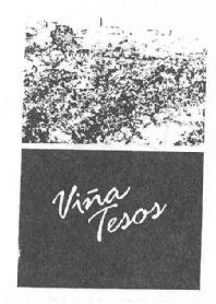 Imagen de VIÑA TESOS