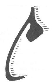 Imagen de M1316004