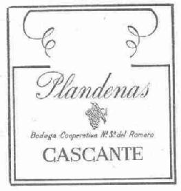 Imagen de PLANDENAS CASCANTE