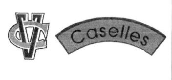 Imagen de CV CASELLES