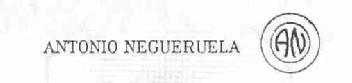 Imagen de AN ANTONIO NEGUERUELA