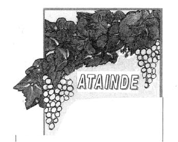 Imagen de ATAINDE
