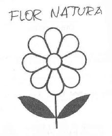Imagen de FLOR NATURA