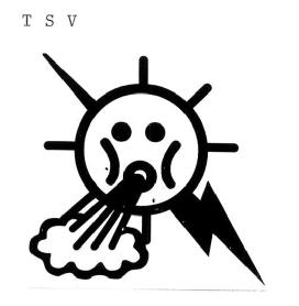 Imagen de T S V