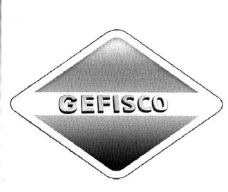 Imagen de GEFISCO
