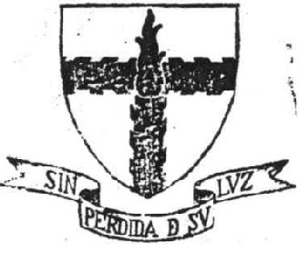 Imagen de SIN PERDIDA D SV LVZ
