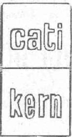 Imagen de CATI-KERN