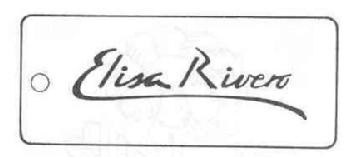 Imagen de ELISA RIVERO