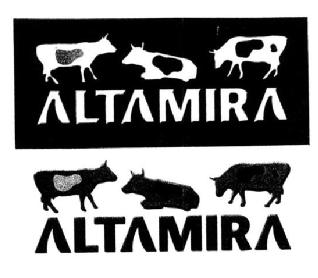 Imagen de ALTAMIRA ALTAMIRA
