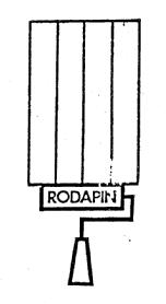 Imagen de RODAPIN