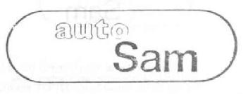 Imagen de AUTO SAM