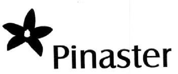 Imagen de PINASTER