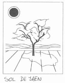 Imagen de SOL DE JAEN