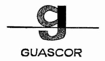 Imagen de G GUASCOR