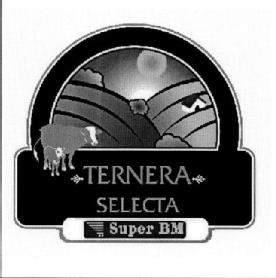 Imagen de TERNERA SELECTA SUPER BM