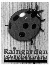 Imagen de RAINGARDEN