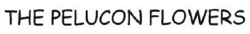 Imagen de THE PELUCON FLOWERS