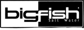 Imagen de BIGFISH SALT WATER
