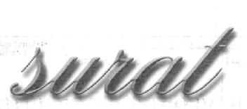 Imagen de SURAT