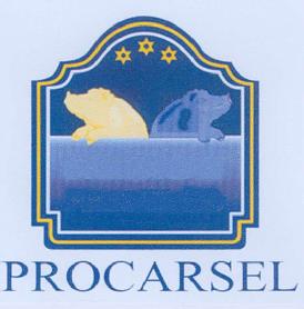 Imagen de PROCARSEL