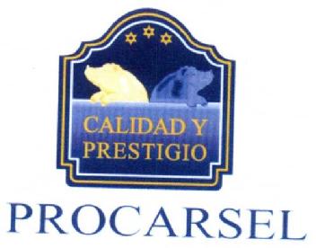Imagen de PROCARSEL
