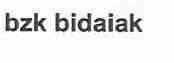 Imagen de BZK BIDAIAK