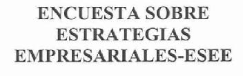 Imagen de ENCUESTA SOBRE ESTRATEGIAS EMPRESARIALES-ESEE