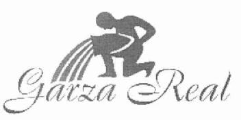 Imagen de GARZA REAL