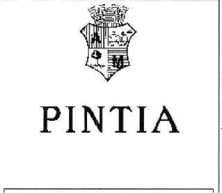 Imagen de PINTIA
