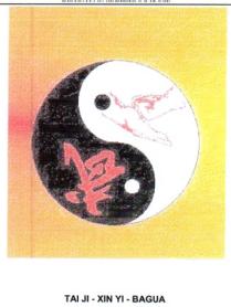 Imagen de TAI JI - XIN YI - BAGUA