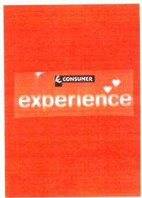 Imagen de E CONSUMER EXPERIENCE