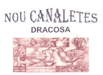 Imagen de NOU CANALETES DRACOSA