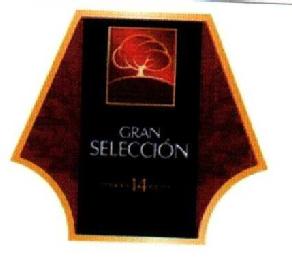 Imagen de GRAN SELECCION 14