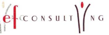 Imagen de EFCONSULTING