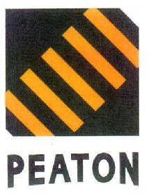 Imagen de PEATON