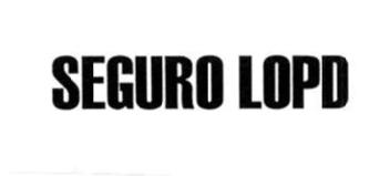 Imagen de SEGURO LOPD