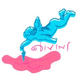 Imagen de DIVINS