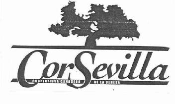 Imagen de CORSEVILLA COOPERATIVA GANADERA DE LA DEHESA