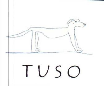Imagen de TUSO