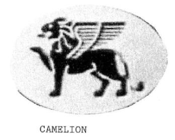 Imagen de CAMELION